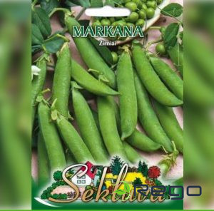 Zirņie saldie MARKANA zemi. Saldo zirņu sēklas 30g