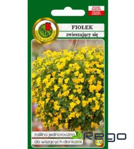 Atraitnītes nokarenas dzeltenas