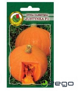 Ķirbis Justynka F1 2g