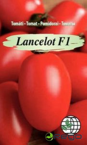 Tomāti Lancelot F1 AMC 4s