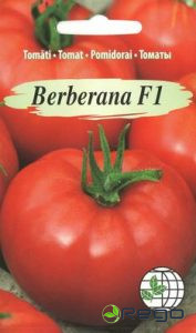 Tomāti Berberana F1 AMC 7s.