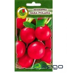 Redīsi Saxa Polana 10g