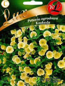 Petūnijas Kaskada dzeltenas LUX