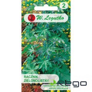 Ricīns zaļām  lapām (6 sēkl.)