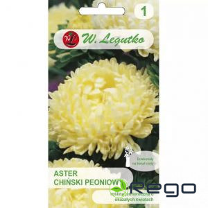 Asteres peoniju dzeltenas 1g