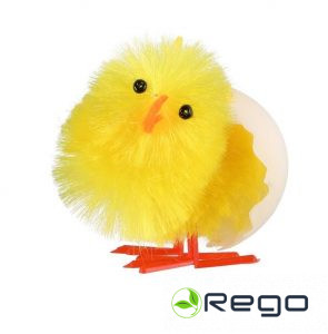 Verso Lieldienu vista ar baltu olu 4cm