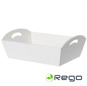 Winteria koka kaste/ paplāte