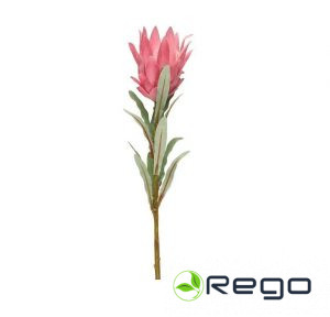 4Living mākslīgā protea 69cm