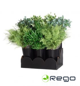 4Living pavasara/ vasaras zaļumi dažādi veidi