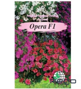 Petūnijas  nokarenās Opera gaiši zilas