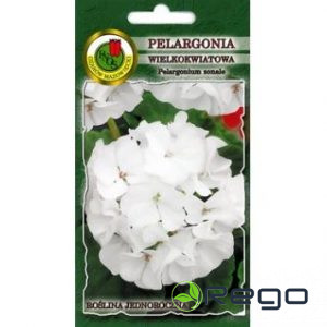 Pelargonija zonālā balta 10s
