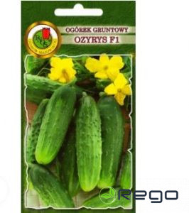Gurķi Ozyrys F1 5g