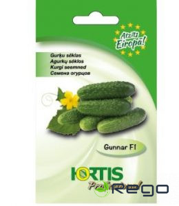 Gurķi Gunnar 10s