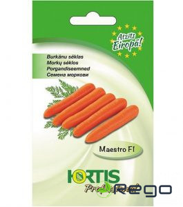 Burkāni Maestro 1g.