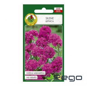 Silene austrumu 0.5g