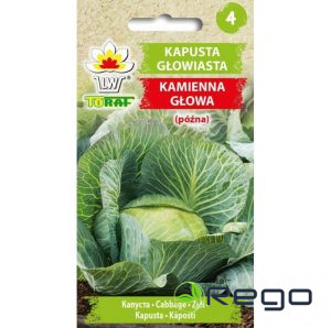 Kāposti Kamienna Glowa 2g