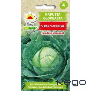 Kāposti Slava z Golebiewa 2g