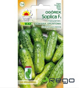 Gurķi Soplica F1 5g