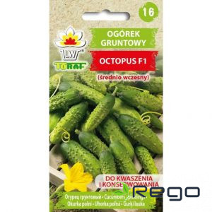 Gurķi Octopus F1 1gr
