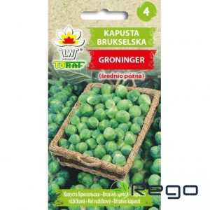 Kāposti Briseles Groninger 2g