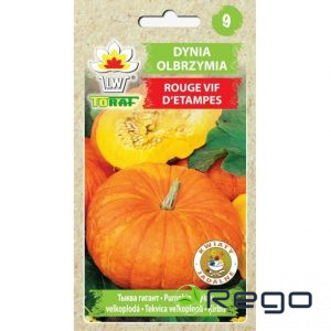 Ķirbis Rouge Vif d'etampes 5g