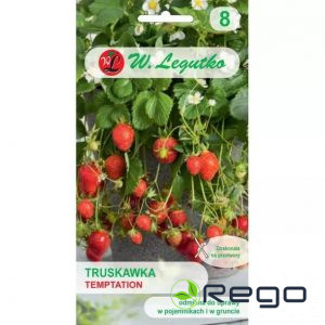 Zemenes Temptation 0,03g