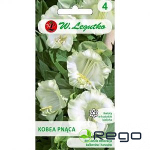 Kobejas baltas 6 sēklas L