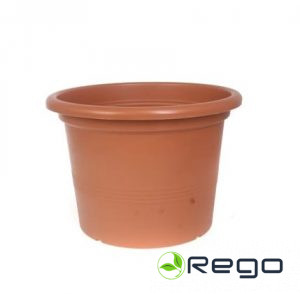 Puķu pods Campanula 20 terracotta