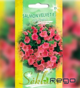 Petūnijas Salmon Velvet