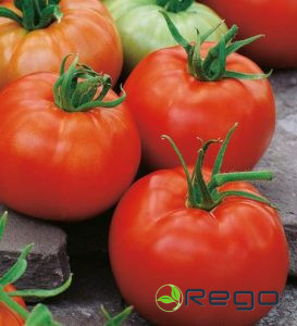 Tomāti Belle F1 5s