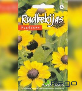 Rudbekija TOTO GOLD 10s