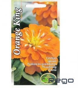 Cinnijas augstās ORANGE KING 1g