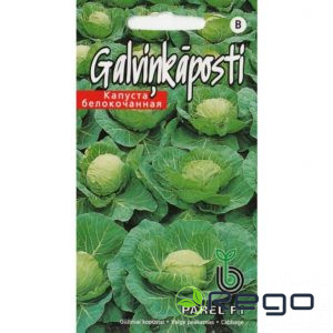 Kāposti Parel F1 30gab.