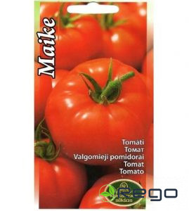 Tomāti lauka Maike 20s
