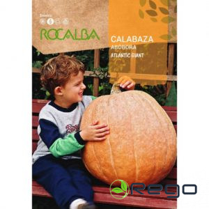 Ķirbis Atlantic Gigant 5g