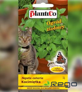 Kaķumētra ĪSTĀ. Kaķumētras sēklas 0,5g