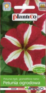 Petūnijas lielziedu SAWA divkrāsu, 0.05g. NOCENOTS