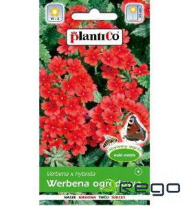 Verbēna krūmu sarkana 0.5g