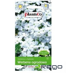 Verbēna krūmu balta 0.5g