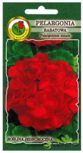 Pelargonija sarkana