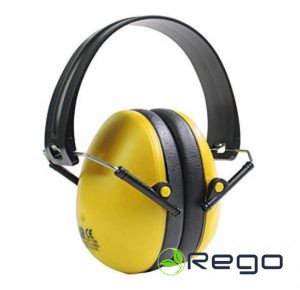 Oregon Austiņas (Q515060)