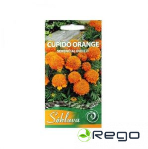 Samtenes Cupido Orange 0.5g