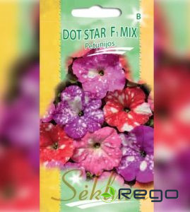 Petūnijas DOT STAR F1 mix 10gb.