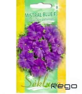 Petūnijas krūmu Mistral Blue F1 25gb.