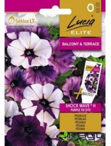 Petūnijas (Surfīnijas) Shock Wave 6s