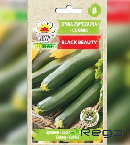 Cukini Black beauty 5g