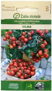 Tomāti balkona Vilma