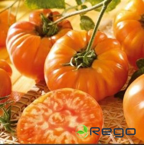 Tomātu sēklas Ananas 10s