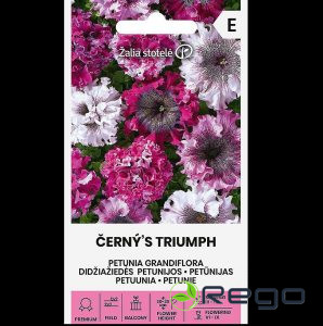 Petūnijas Černys Triumph 20s