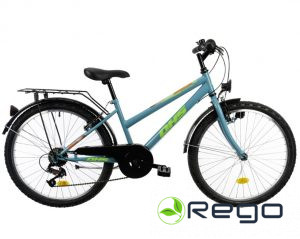 Divritenis DHS 24" 2414-88 Terrana-6V, 14.85 kg, light green